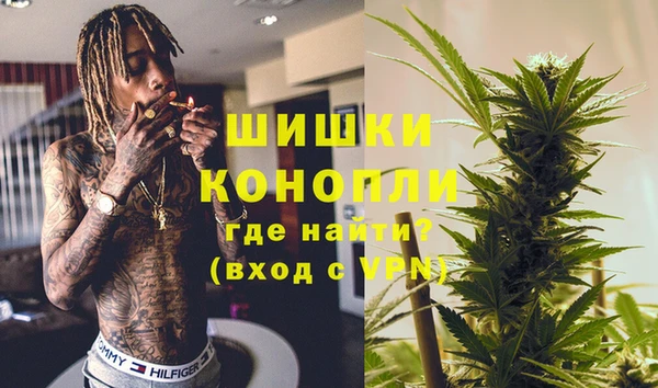 mix Инта