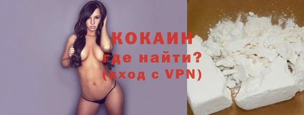mix Инта