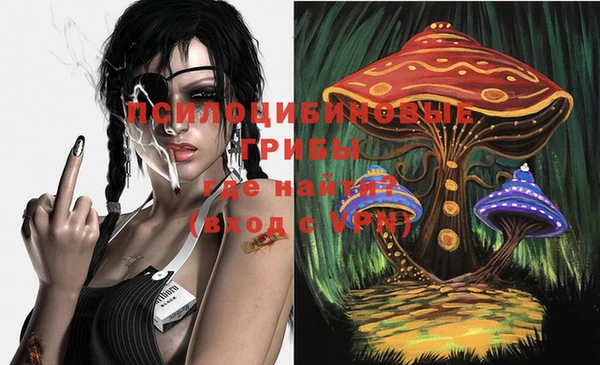 эйфоретик Иннополис
