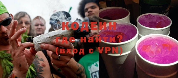 mix Инта